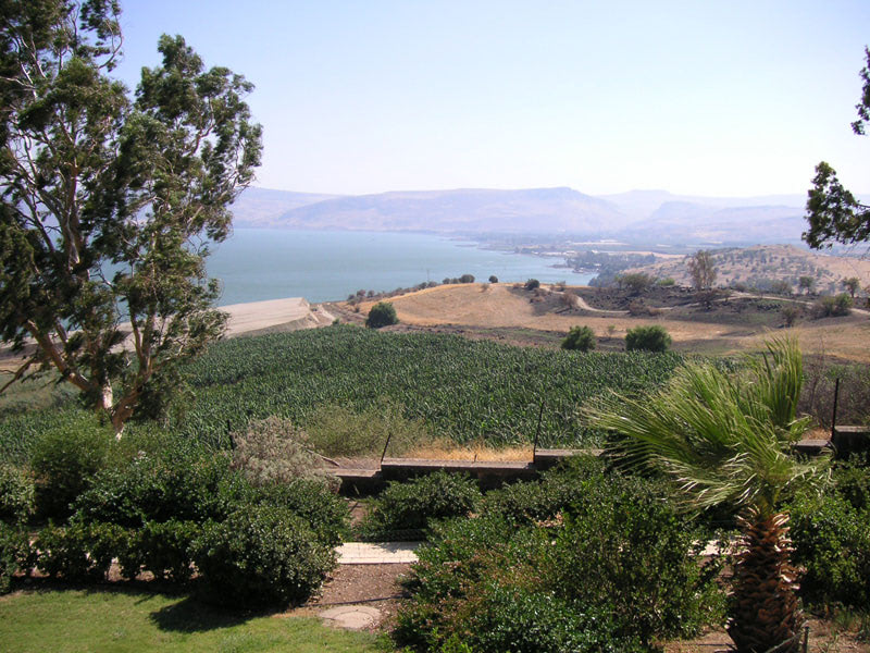 Blick auf See Genezareth
